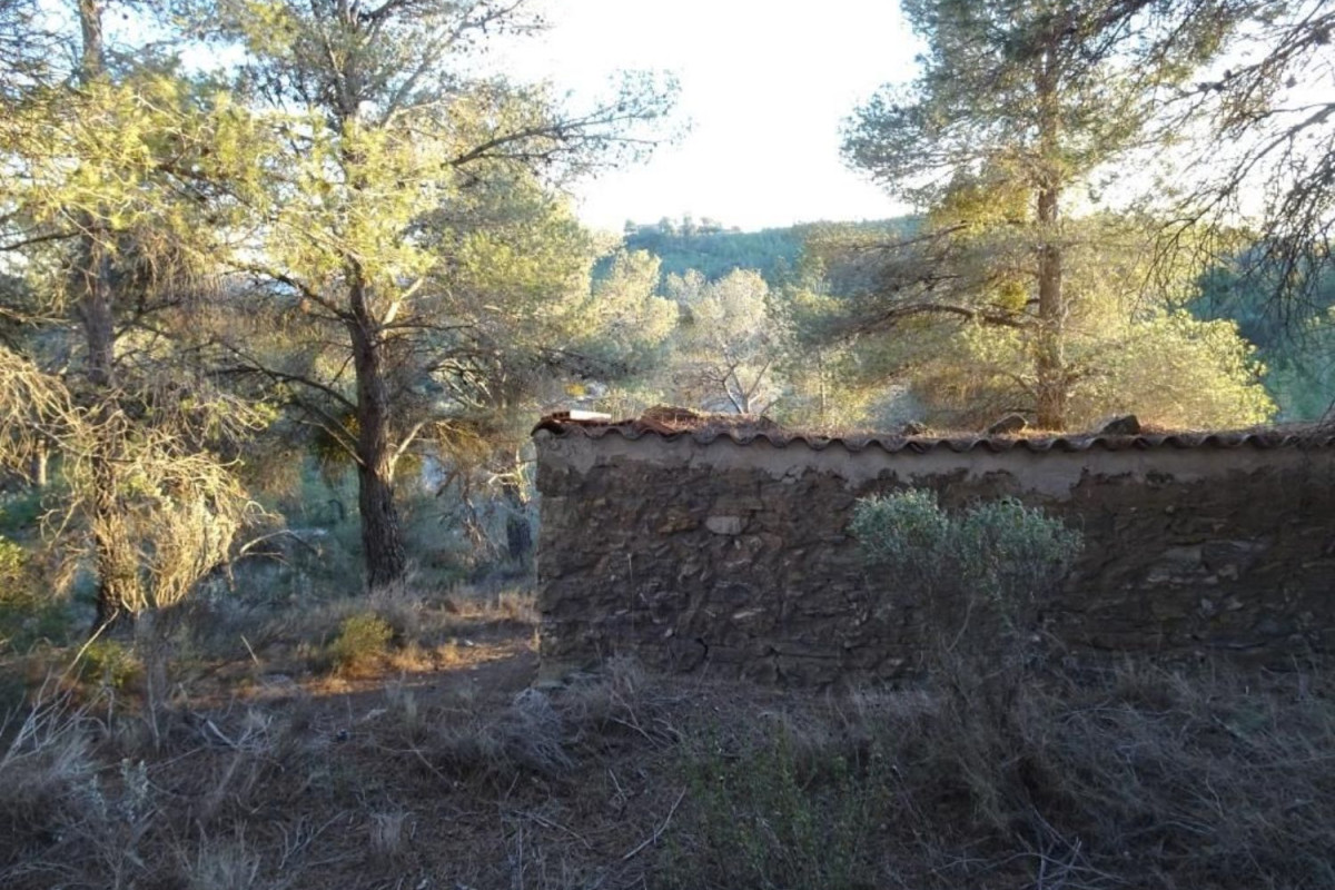 Terreno en venta en Mora d'Ebre, Tarragona photo 5
