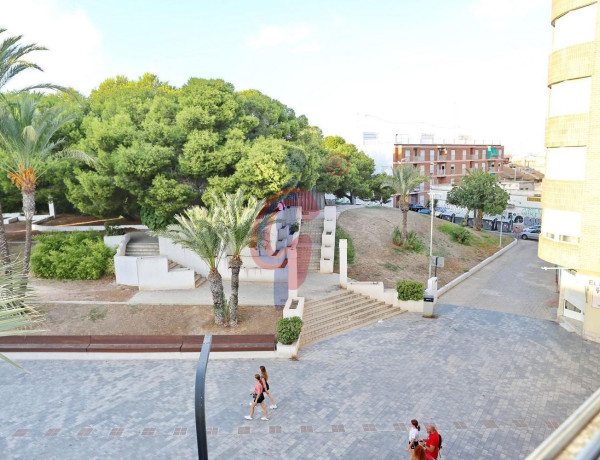 Piso en venta en  Avenida dels Pins, 70, Guardamar del Segura photo 3