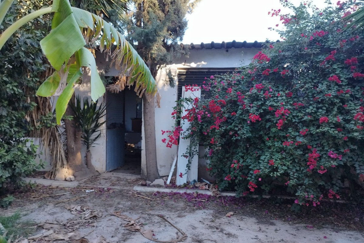 Terreno en venta en Torre-Pacheco, Murcia photo 2