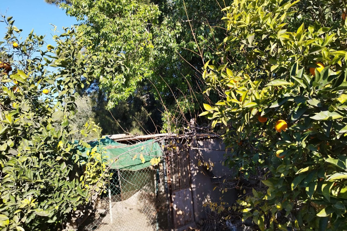 Terreno en venta en Torre-Pacheco, Murcia photo 4
