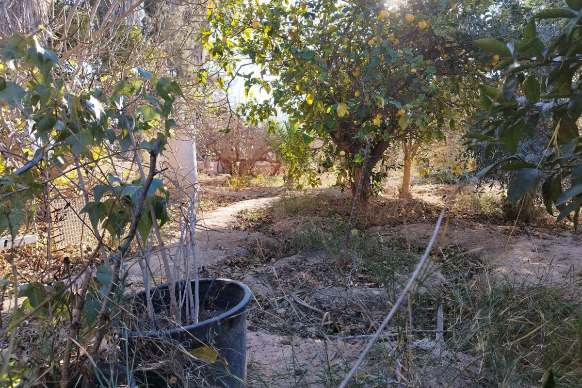 Terreno en venta en Torre-Pacheco, Murcia photo 5