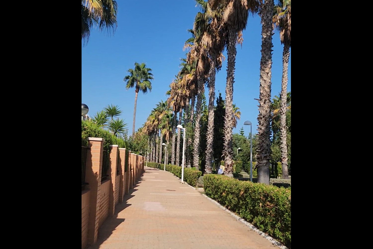 Venta de piso en Calle Amplaries, 45, Oropesa del Mar
photo 4