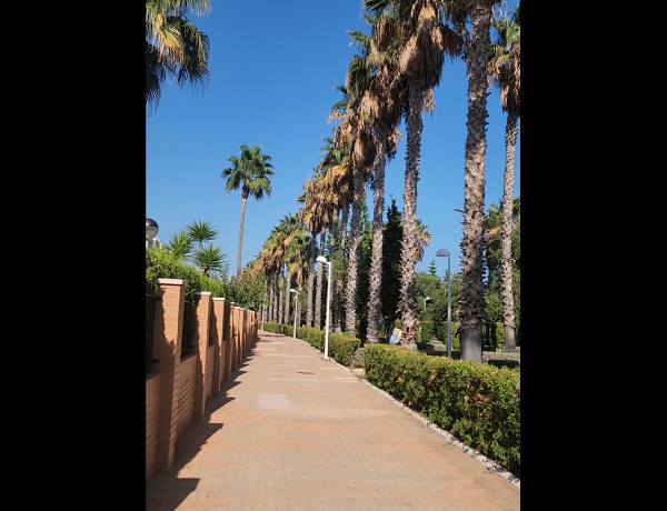 Piso en venta en  Calle Amplaries, 45, Oropesa del Mar photo 4
