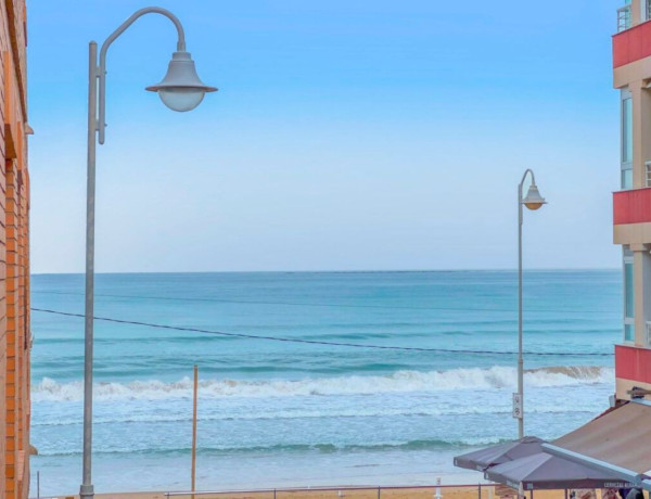 Bajo en venta en  Guardamar Playa , Guardamar del Segura photo 2