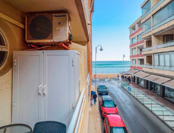 Bajo en venta en  Guardamar Playa , Guardamar del Segura photo 3