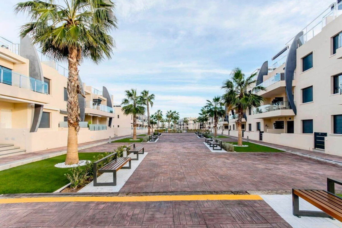 Venta de bajo en Zona Pueblo, Pilar de la Horadada
photo 4