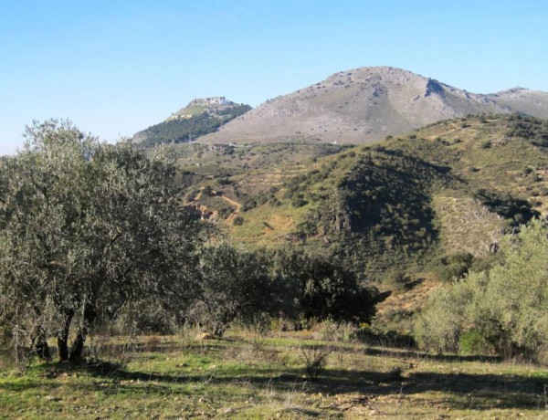 Terreno en venta en Cerro Artacho s/n photo 1