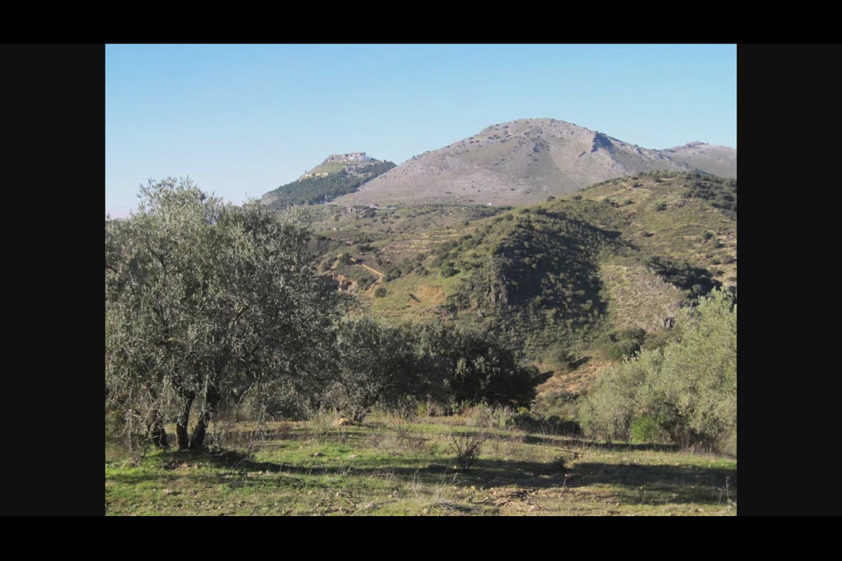 Land for sale in Archidona, Malaga photo 2