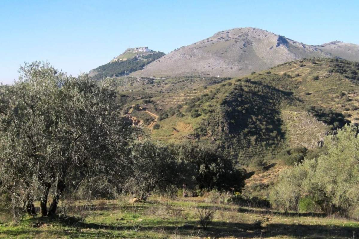 Land for sale in Archidona, Malaga photo 3