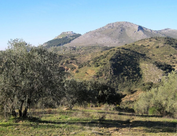 Terreno en venta en Cerro Artacho s/n photo 3