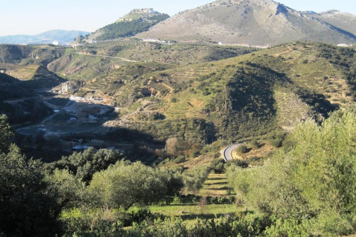 Land for sale in Archidona, Malaga photo 4