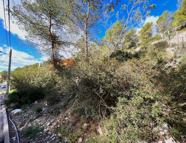 Terreno en venta en calle de la Merla photo 4