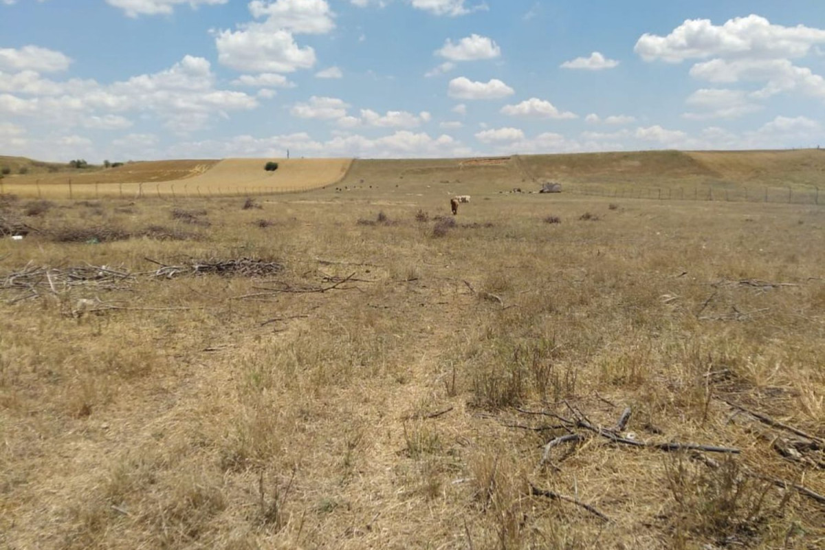 Terreno en venta en Valdetorres de Jarama, Madrid photo 5