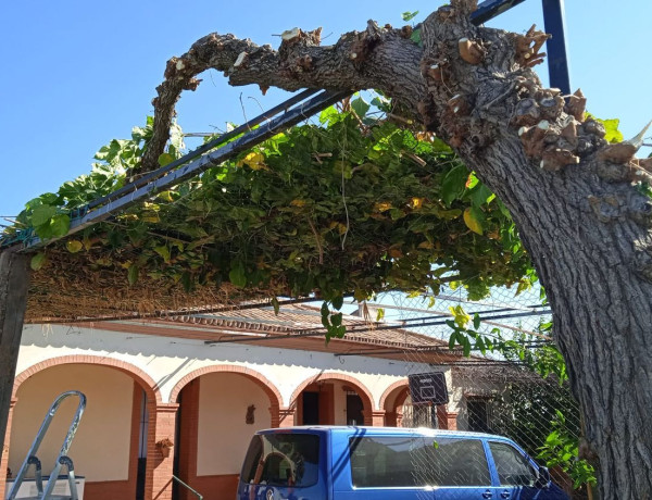 Rustic property for sale in , Cantillana photo 2