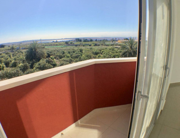 Bajo en venta en , Los Montesinos photo 4
