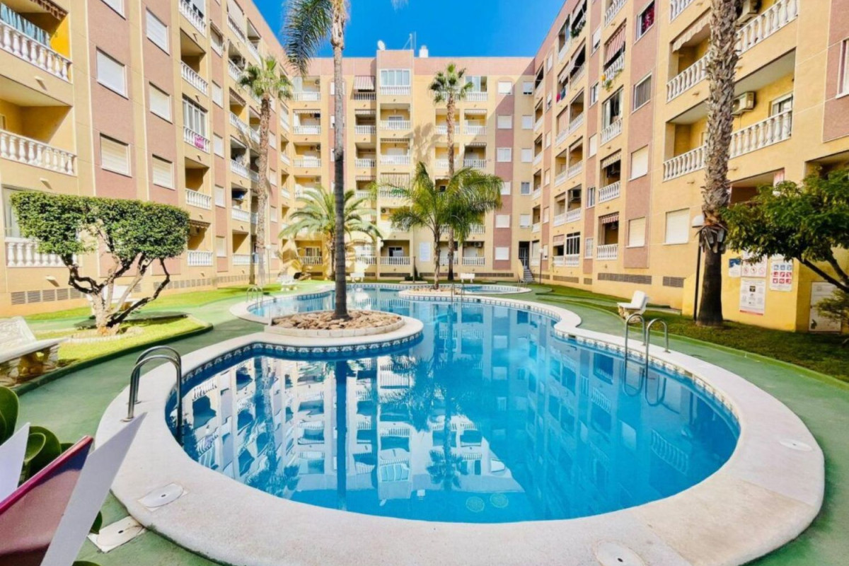 Venta de bajo en Centro, Torrevieja
 photo 2