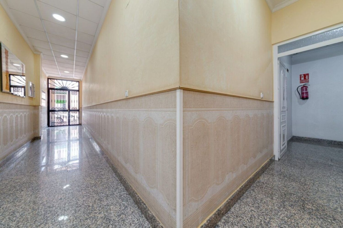Sprzedaż parteru w Centrum, Torrevieja
 photo 3