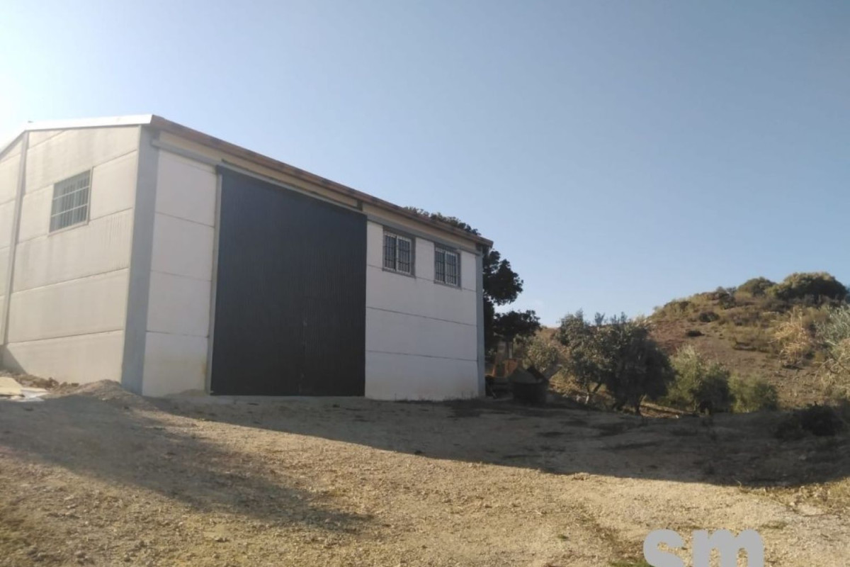Land for sale in Zahara, Cádiz photo 1