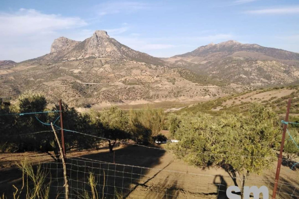 Land for sale in Zahara, Cádiz photo 3