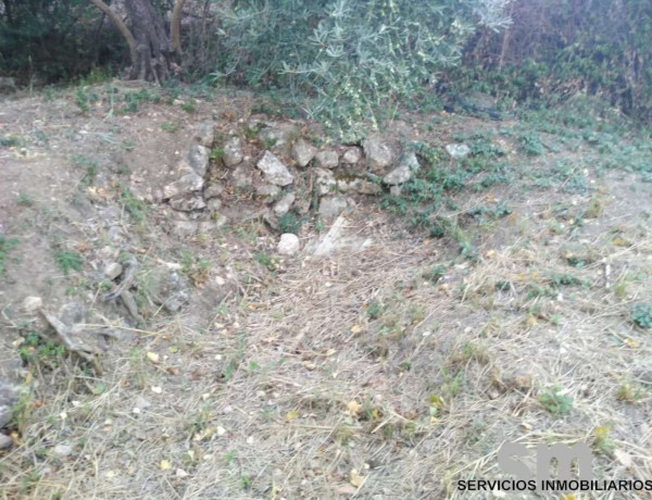 Terreno en venta en Zahara photo 4