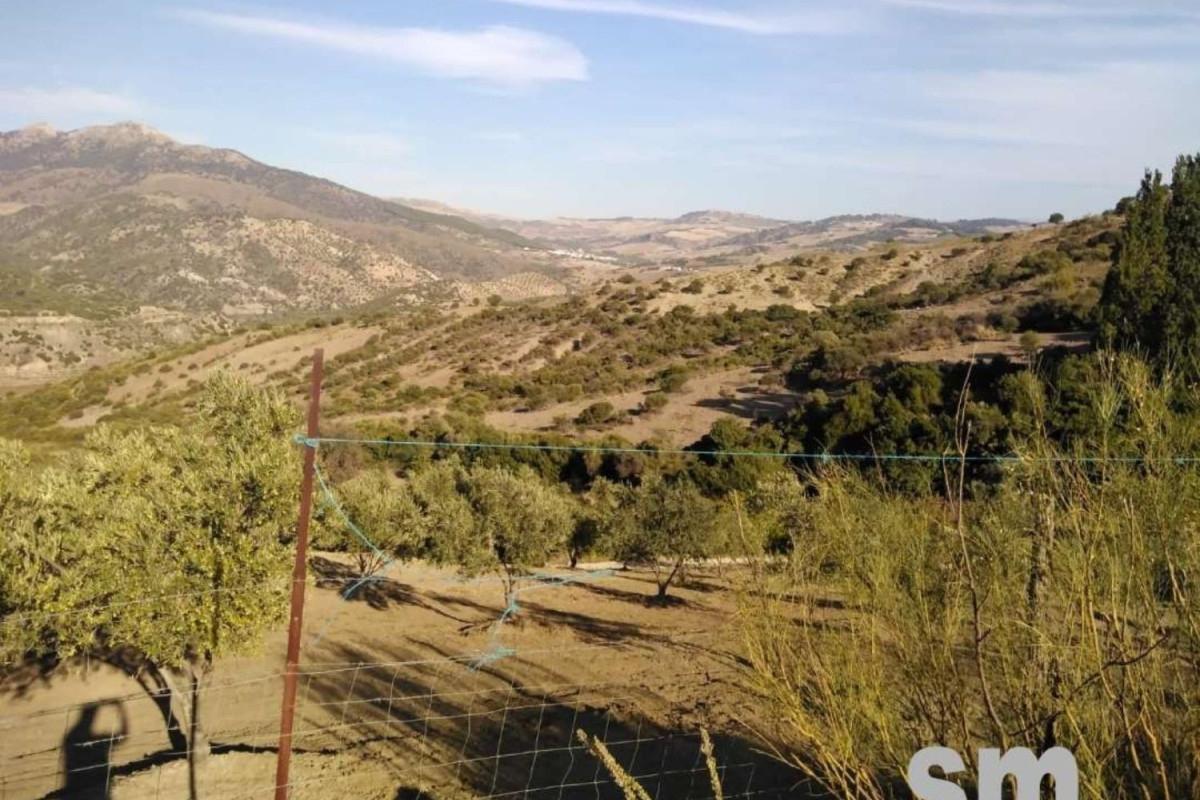 Land for sale in Zahara, Cádiz photo 5