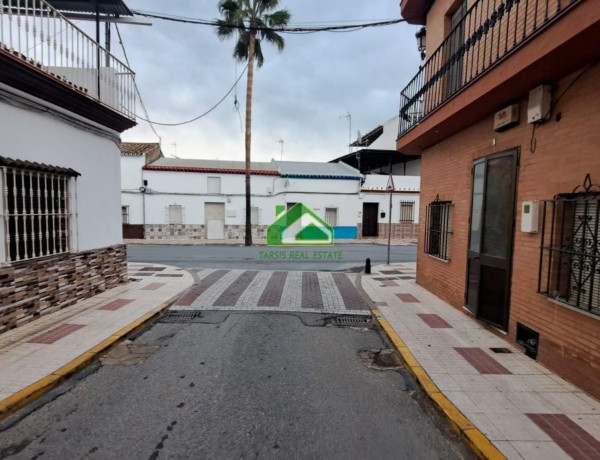 Bajo en venta en  Almonte , Almonte photo 2