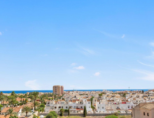 First floor for sale in Nueva Torrevieja - Aguas Nuevas , Torrevieja thumbnail 1