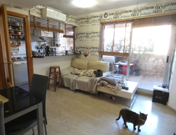 Продажа квартиры в  Avenida d'Amado Granell Mesado, 65, València photo 3