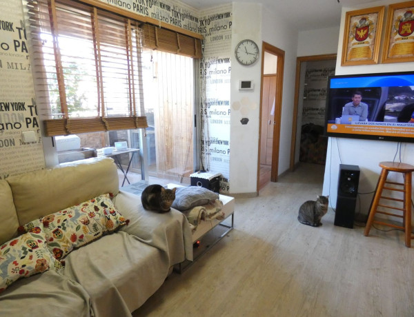 Продажа квартиры в  Avenida d'Amado Granell Mesado, 65, València photo 4