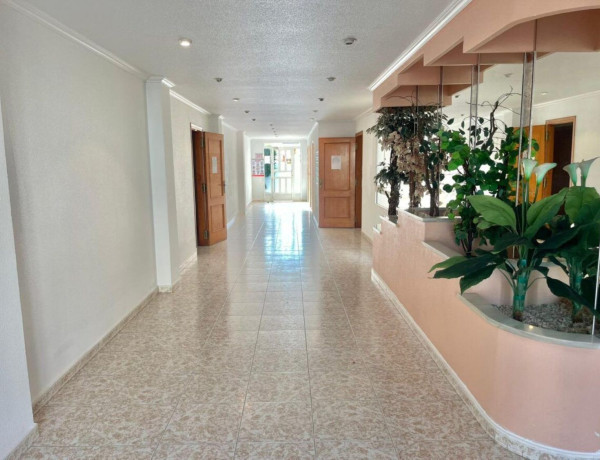 First floor for sale in  El Acequión - Los Náufragos , Torrevieja photo 4