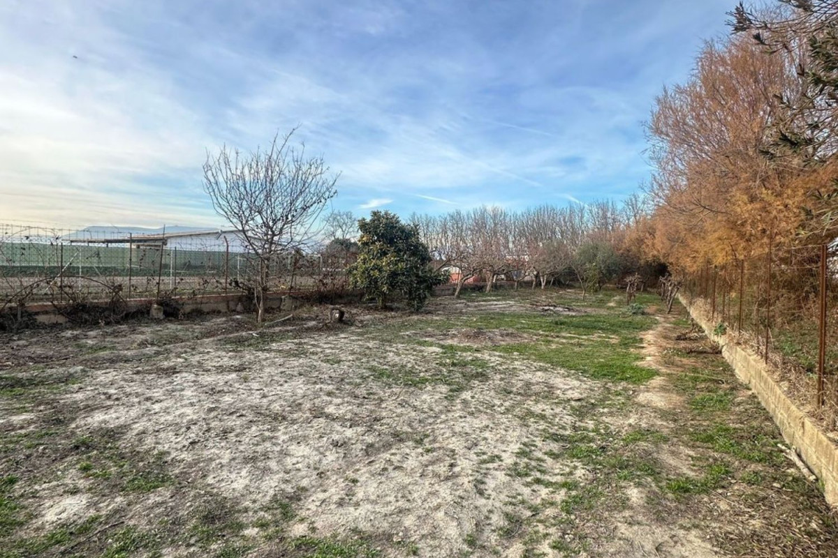 Land for sale in Chauchina, Granada photo 4