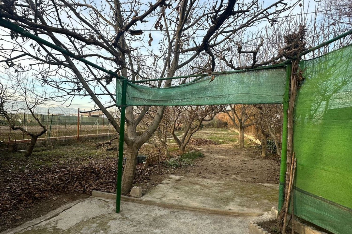 Land for sale in Chauchina, Granada photo 5