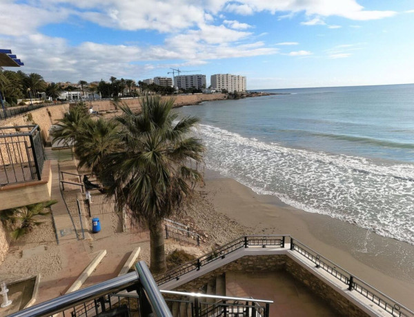 Продажа первого этажа в , Sorihuela del Guadalimar thumbnail 1