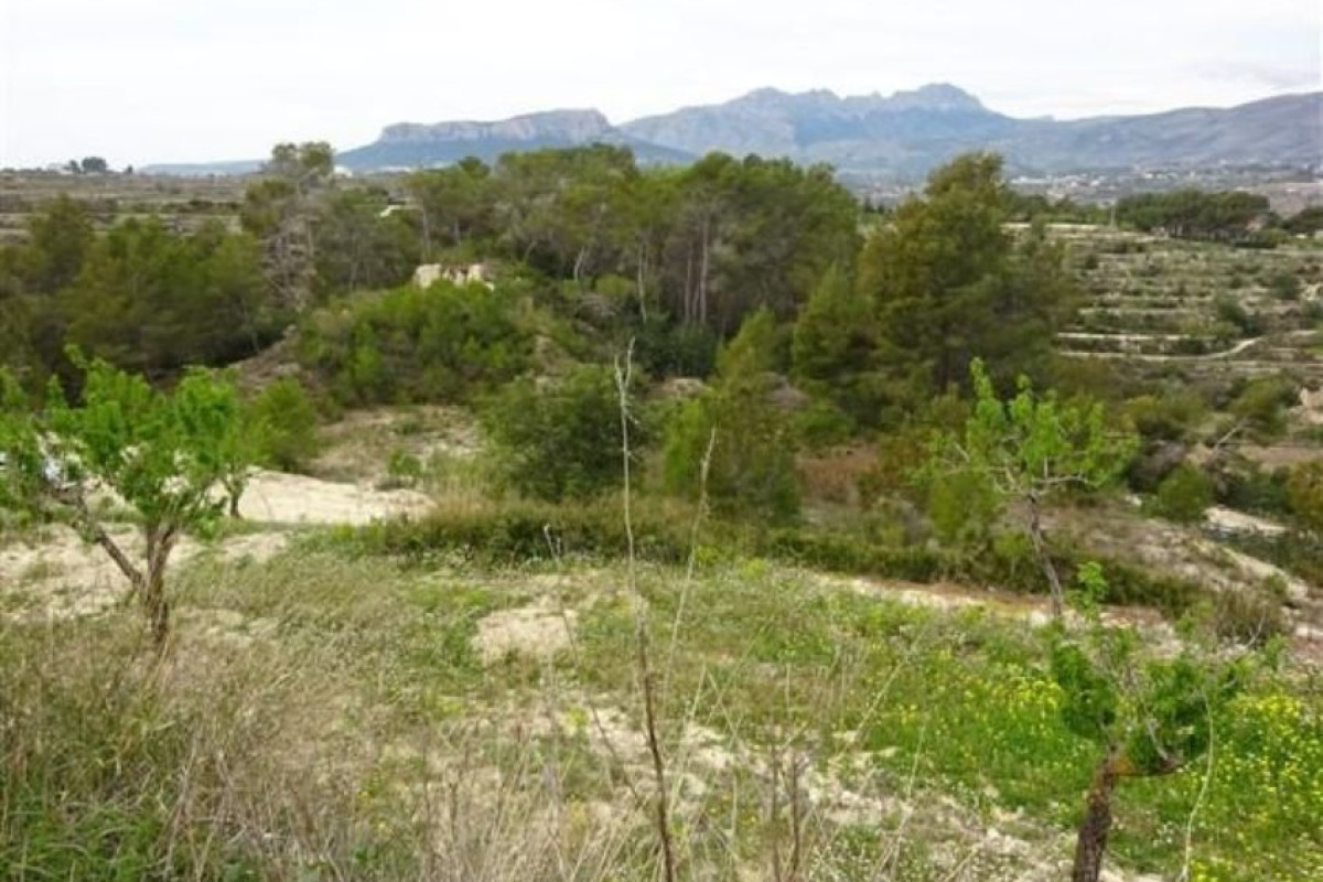 Land for sale in Benissa, Alicante photo 1