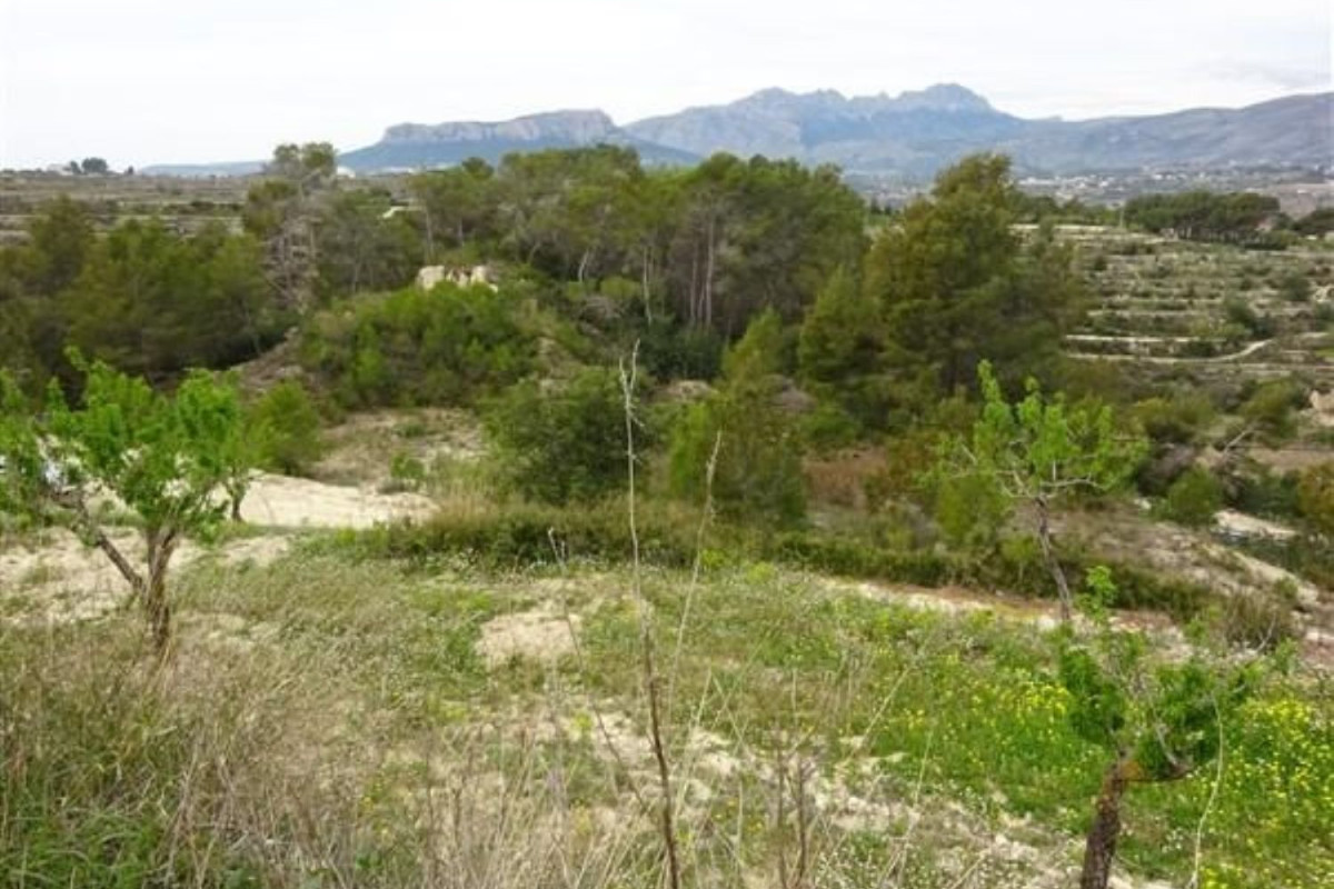 Land for sale in Benissa, Alicante photo 2