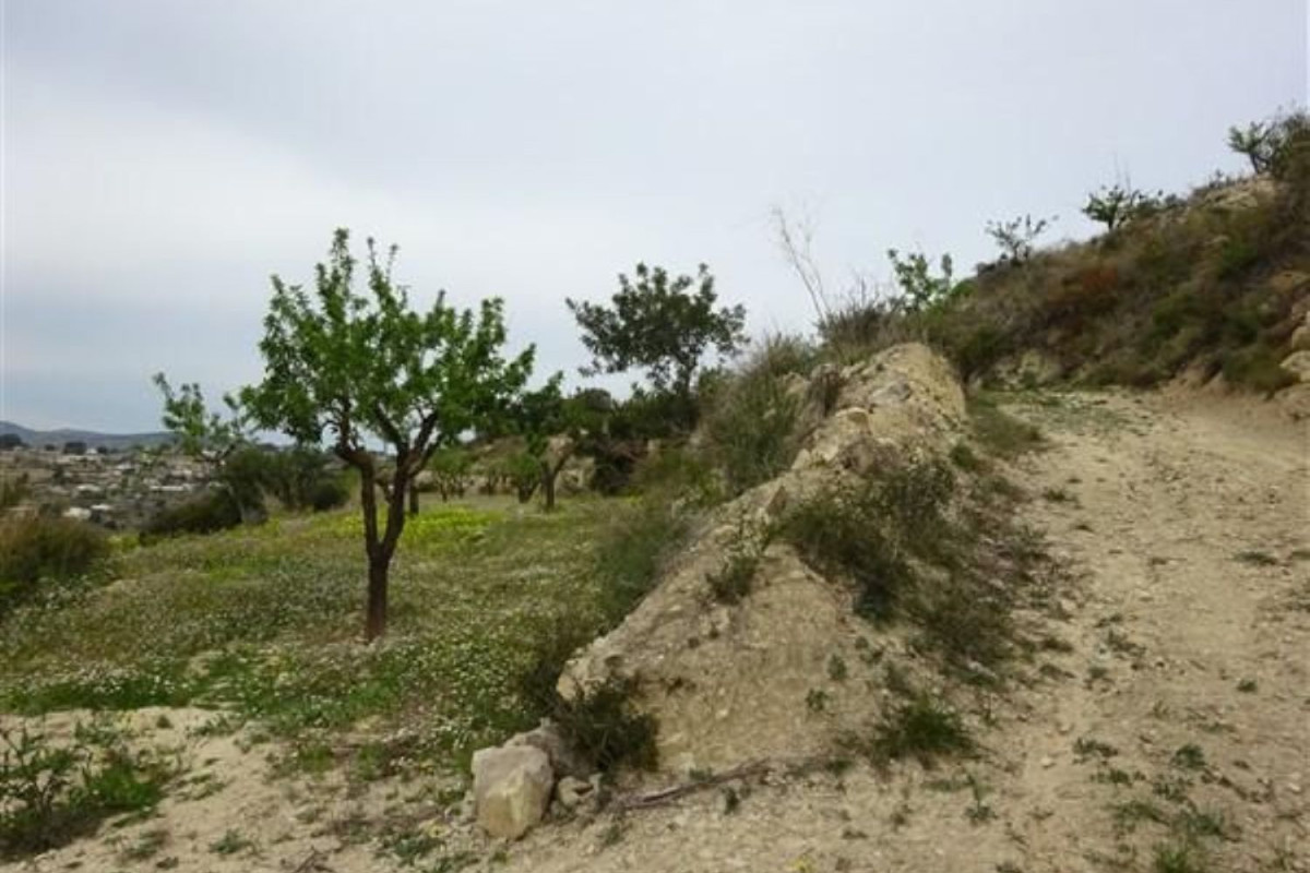 Land for sale in Benissa, Alicante photo 4