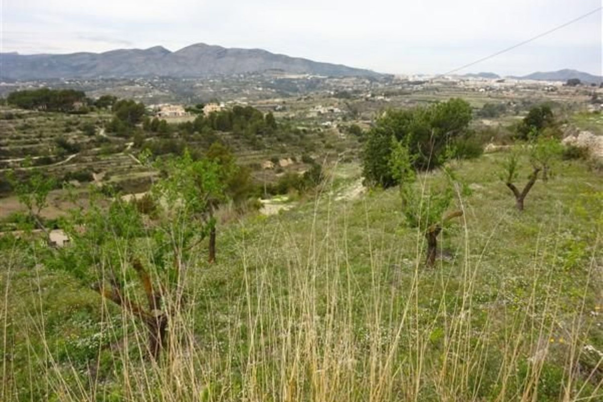 Land for sale in Benissa, Alicante photo 5