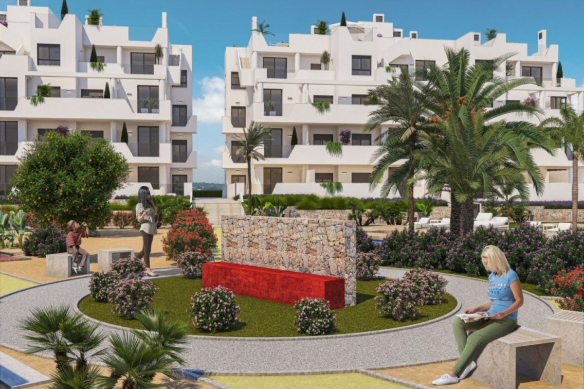 Venta de bajo en Dolores de Pacheco-Santa Rosalía, Torre-Pacheco
 photo 3