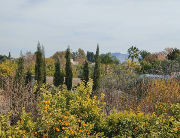 Independent chalet for sale in  Calle Santa Teresa, 1, Murcia photo 4
