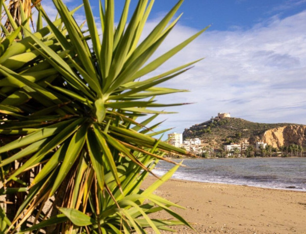 Bajo en venta en  Las Lomas-Las Yucas , Águilas photo 4