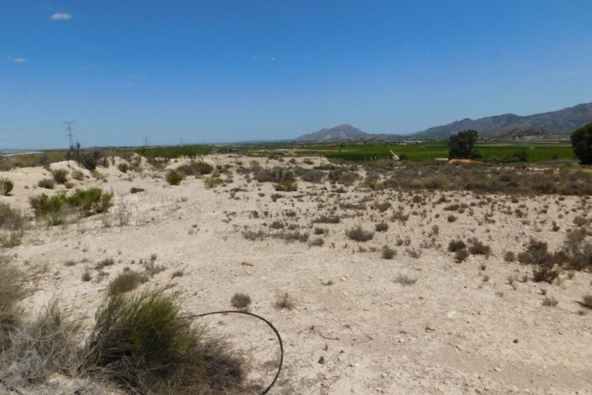 Land for sale in Fortuna, Murcia photo 5