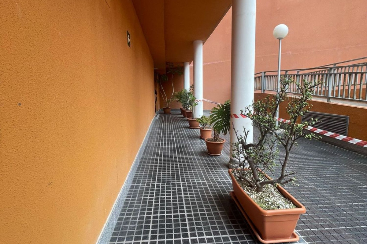 Duplex sale in Avenida mesa y lopez, Las Palmas de Gran Canaria photo 5