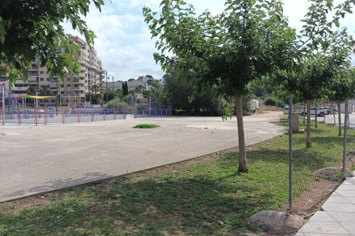 Land for sale in Alzira, Valencia photo 3