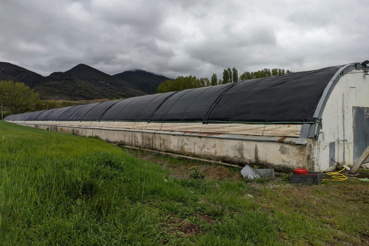 Terreno en venta en Noáin (Valle de Elorz), Navarra photo 2