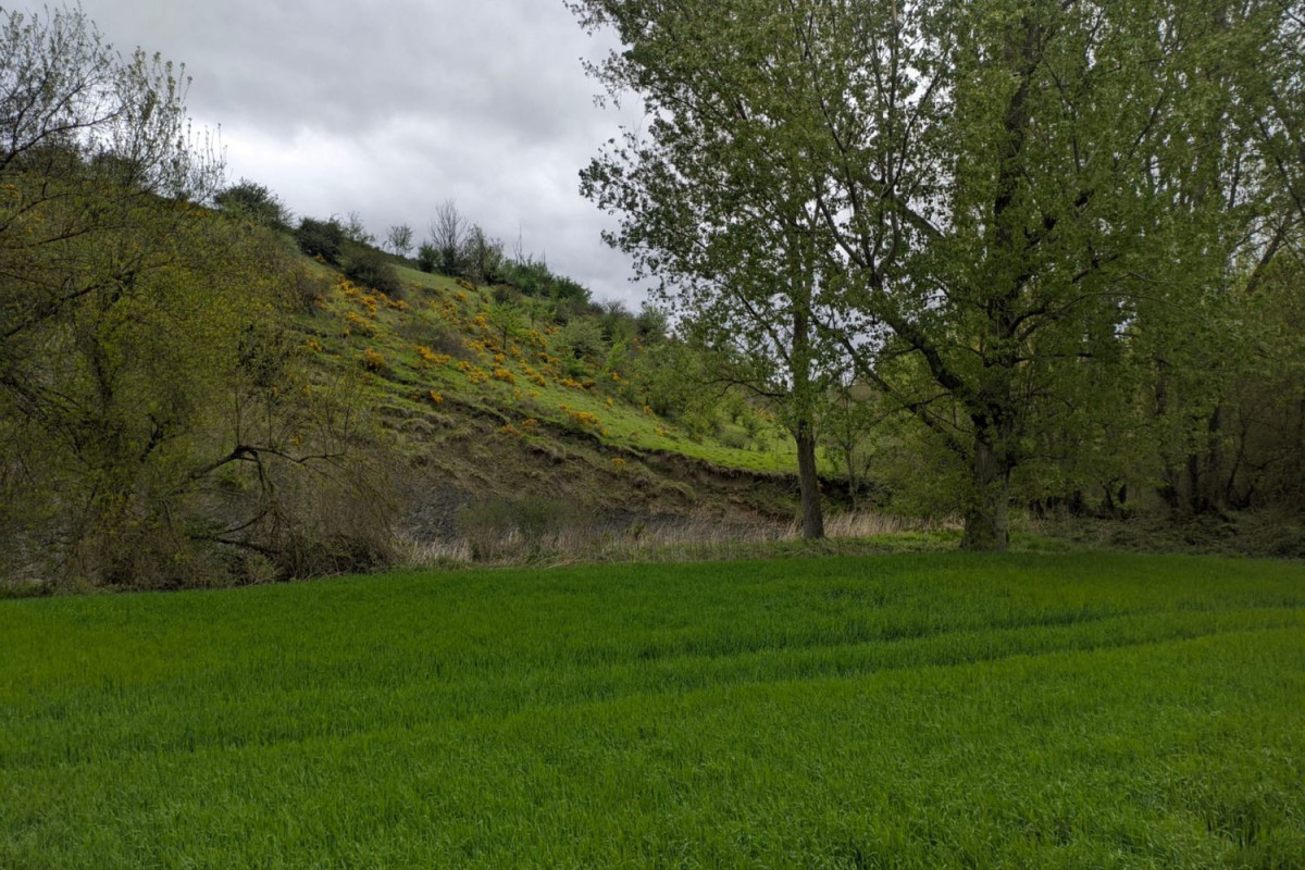 Terreno en venta en Noáin (Valle de Elorz), Navarra photo 5