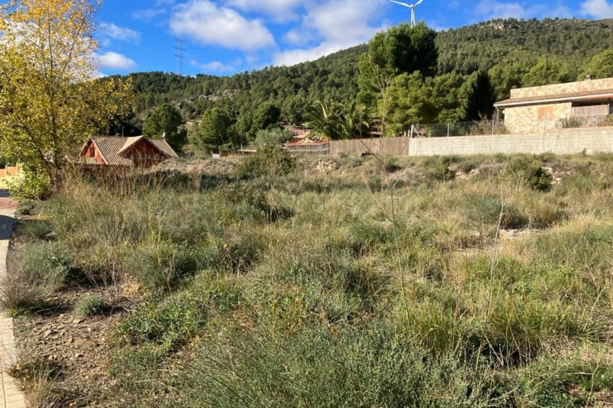 Terreno en venta en Cabra del Camp, Tarragona photo 3