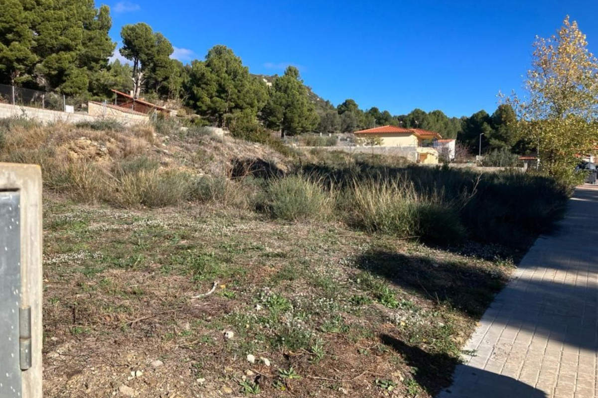 Terreno en venta en Cabra del Camp, Tarragona photo 5