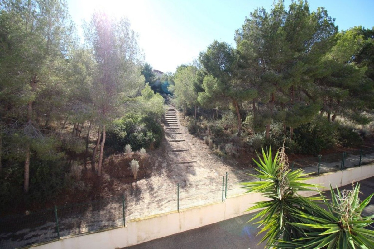 Sale of apartment in lavanda, Pilar de la Horadada
photo 5