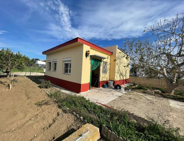 Casa o chalet independiente en venta en Urb. Borreguitos, Las Lagunas - Campano photo 1