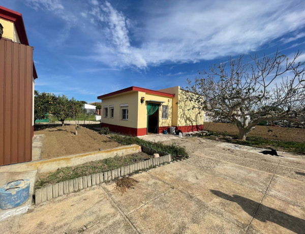 Casa o chalet independiente en venta en Urb. Borreguitos, Las Lagunas - Campano thumbnail 2